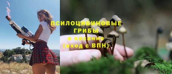 apvp Балахна